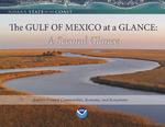The Gulf of Mexico at a Glance